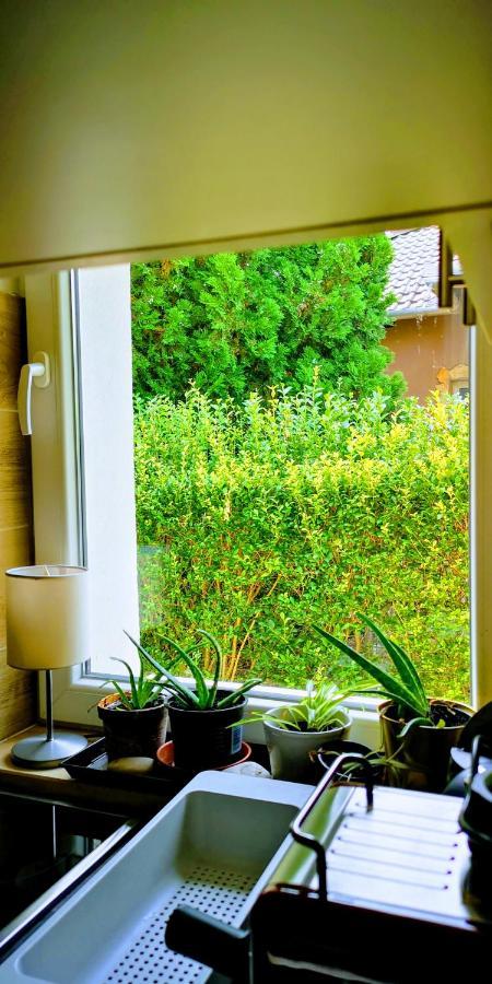 Árvalányhaj Home Apartman Herceghalom Exterior foto